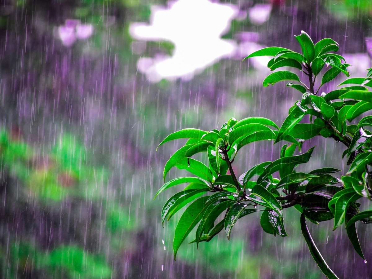 it will be pouring